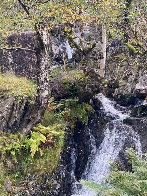 Waterfall
